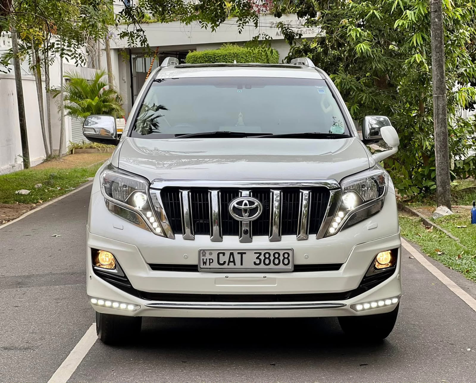 Premium SUV